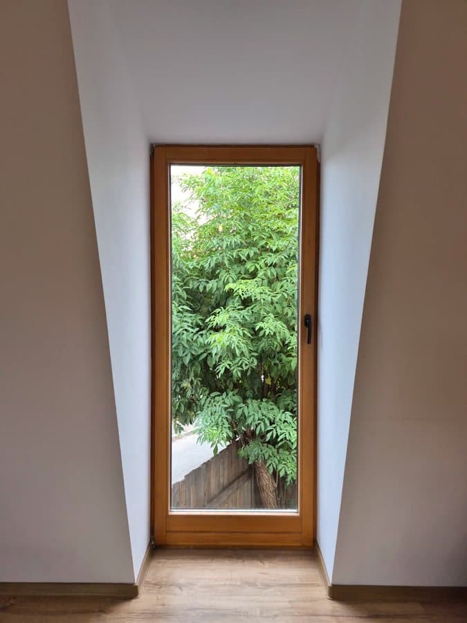 Interiorul rodiei — click pentru mărire